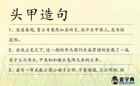 頭甲造句