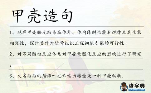 甲殼造句