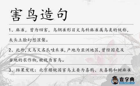 害鳥造句