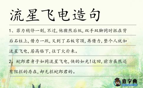 流星飛電造句