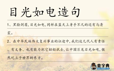 目光如電造句