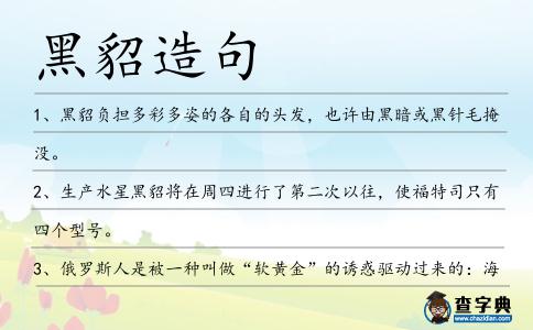 黑貂造句