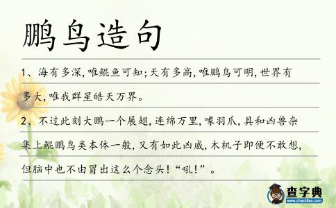 鵬鳥造句