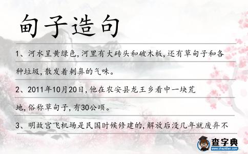 甸子造句