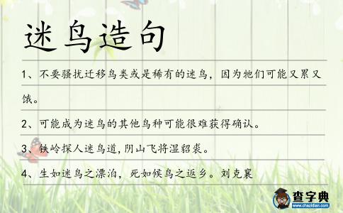 迷鳥造句