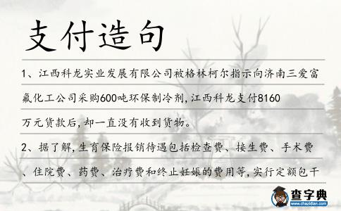 支付造句