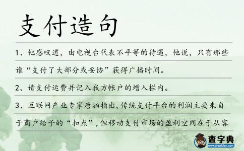 支付造句