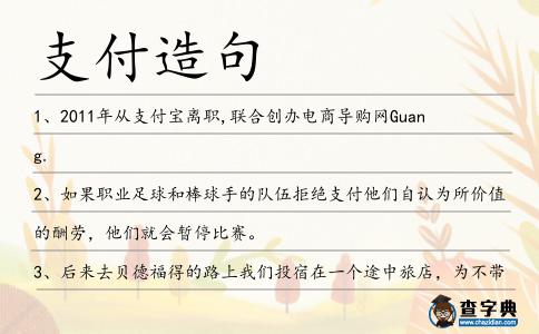 支付造句