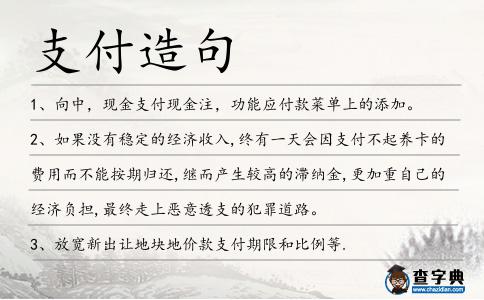 支付造句