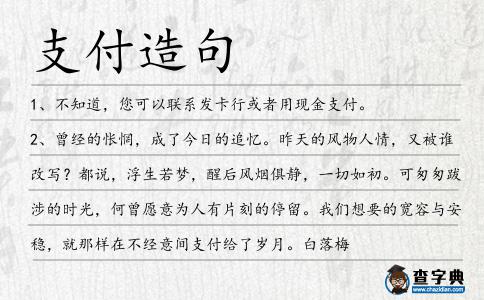支付造句