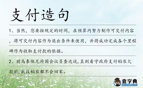 支付造句