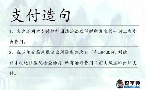 支付造句