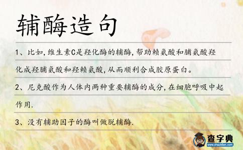 輔酶造句