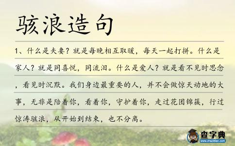 駭浪造句
