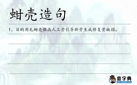 蚶殼造句