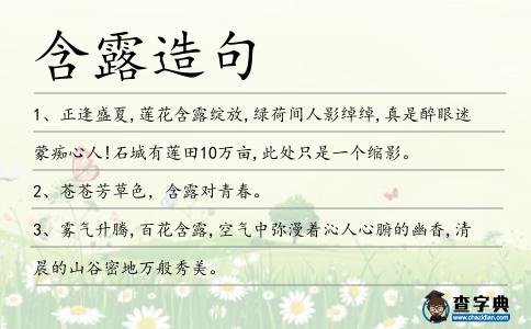 含露造句