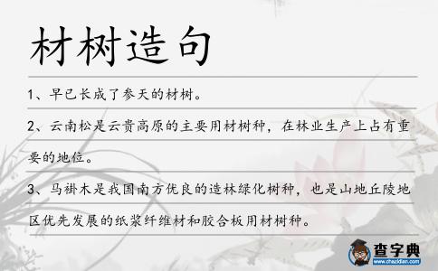 材樹造句