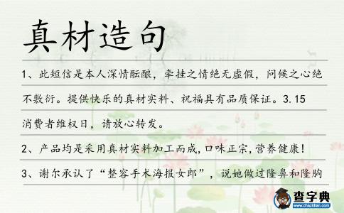真材造句