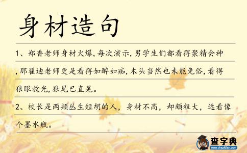 身材造句