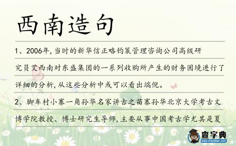 西南造句