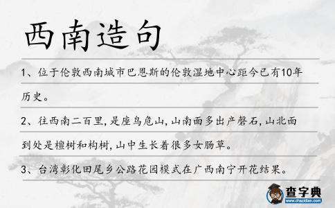 西南造句