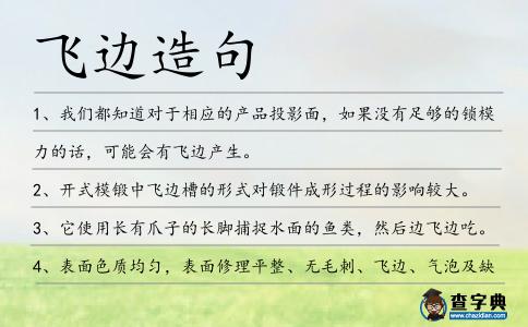 飛邊造句