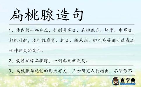扁桃腺造句