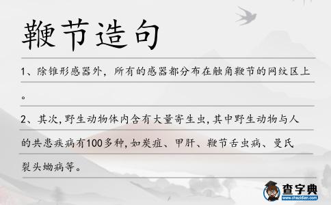 鞭節造句