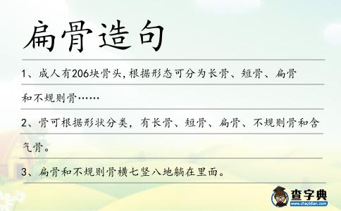 扁骨造句