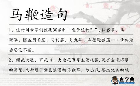 馬鞭造句