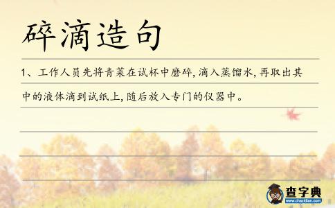 碎滴造句