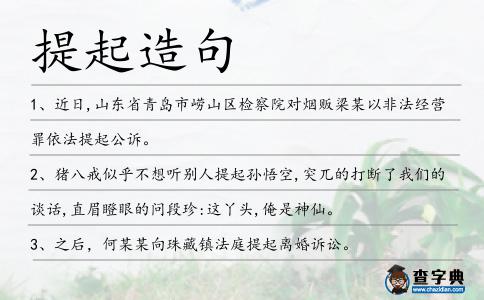 提起造句