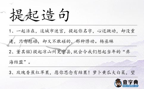 提起造句