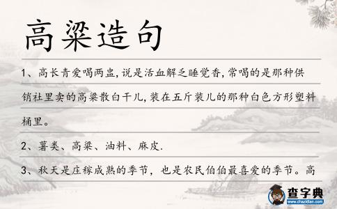 高粱造句