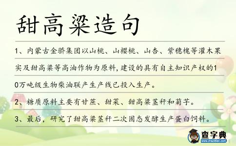 甜高粱造句