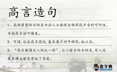 高言造句