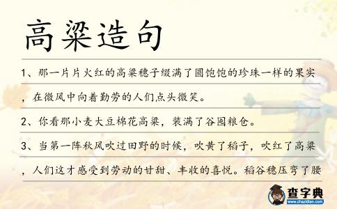 高粱造句