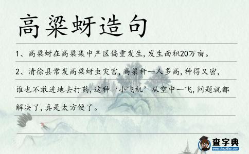 高粱蚜造句