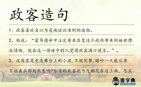 政客造句