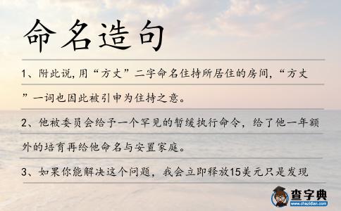 命名造句