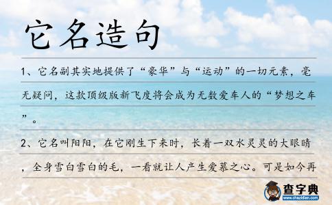 它名造句