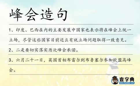 峰會造句