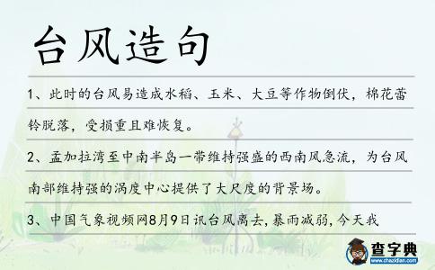 臺風(fēng)造句