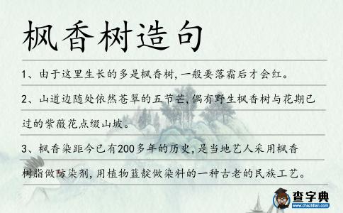 楓香樹造句