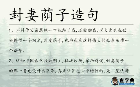 封妻蔭子造句