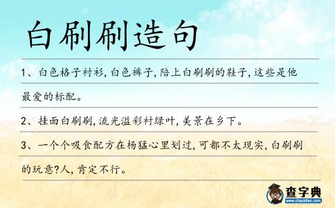 白刷刷造句