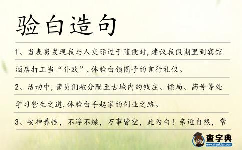 驗(yàn)白造句