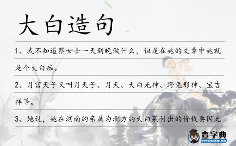 大白造句