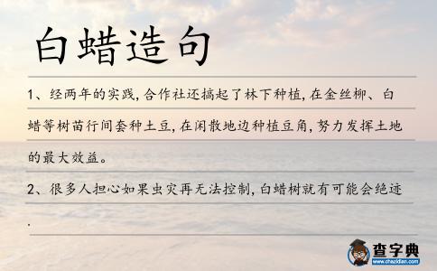 白蠟造句