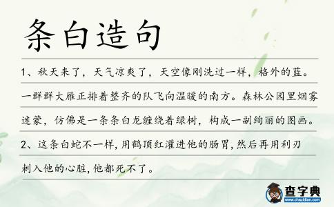 條白造句